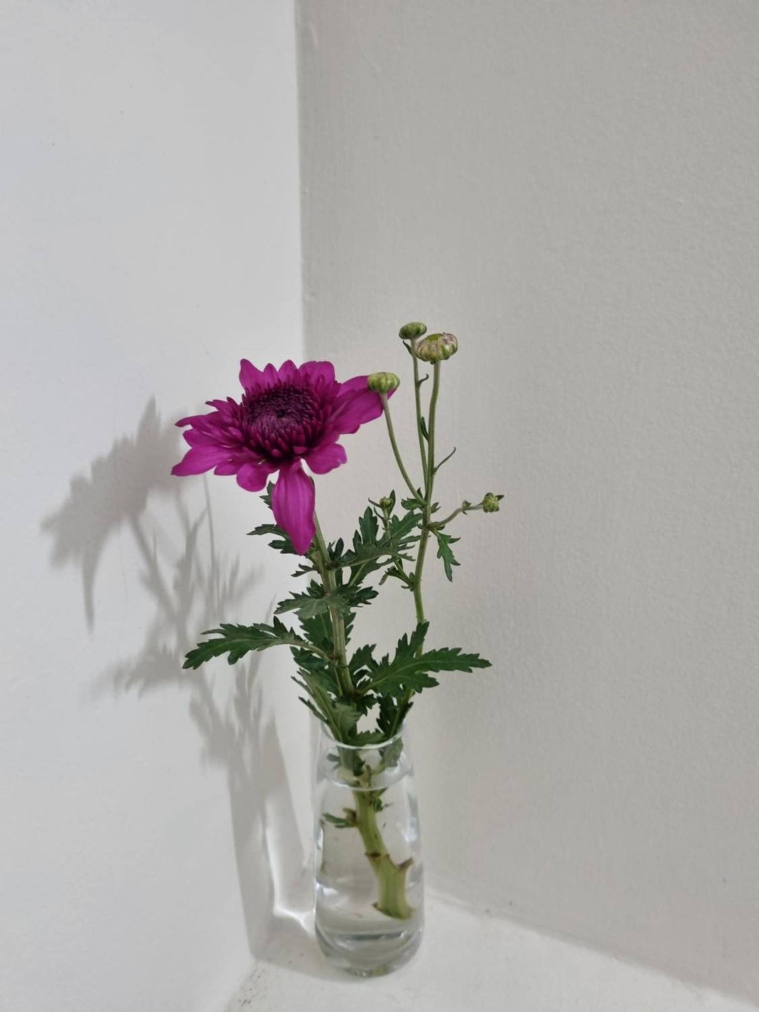 May'S Cottage Hanoi Kamer foto
